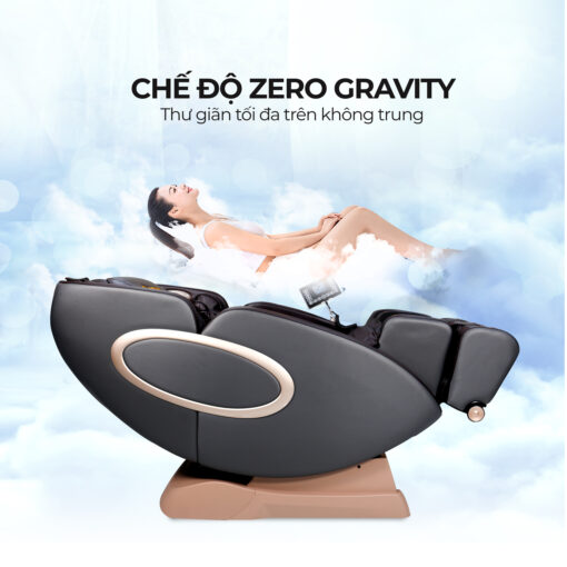 GHẾ MASSAGE DV SK 66 - Hình ảnh 2
