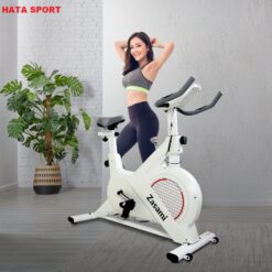 Xe đạp tập thể dục tại nhà KZ6416