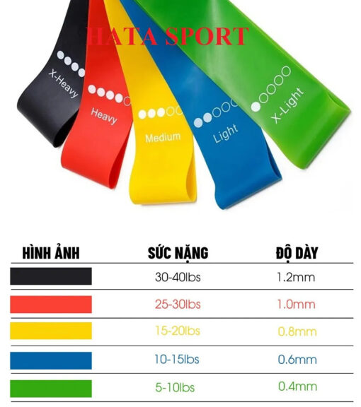 Bộ 5 dây band tập mông - Hình ảnh 4