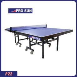 Bàn bóng bàn PRO SUN P22