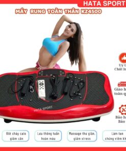 Máy rung giảm cân tại nhà KZ4500